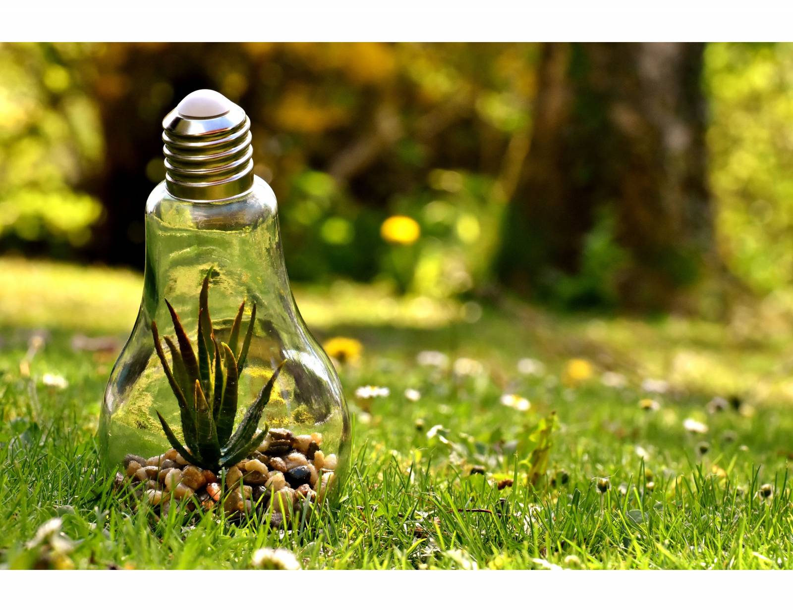 Pose de pergola bioclimatique photovoltaique dans le Gard